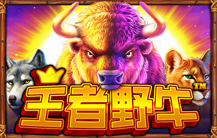 b体育最新下载