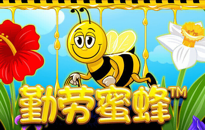 957娱乐活动大厅
